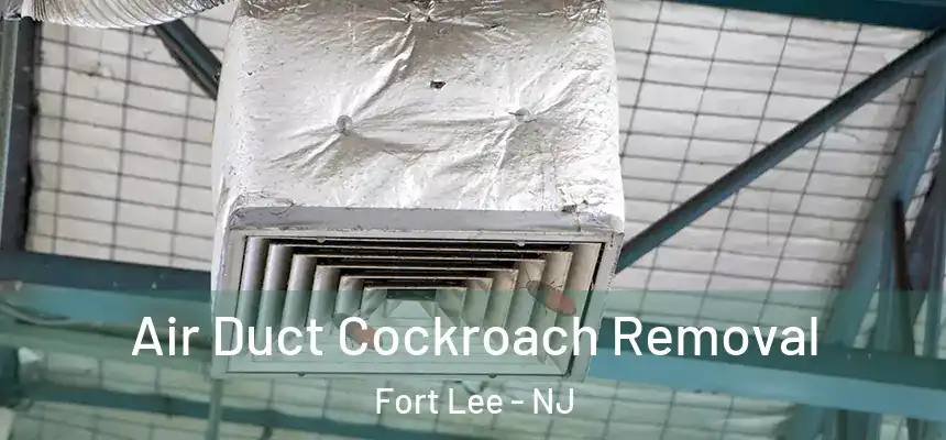  Air Duct Cockroach Removal Fort Lee - NJ