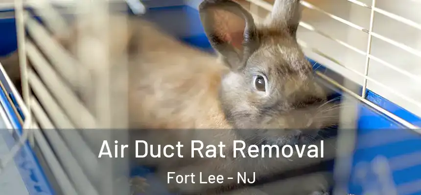 Air Duct Rat Removal Fort Lee - NJ
