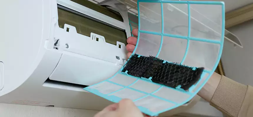 Gentle Ductwork Odor-Control Pet Dander Duct Cleaning in Fort Lee, NJ