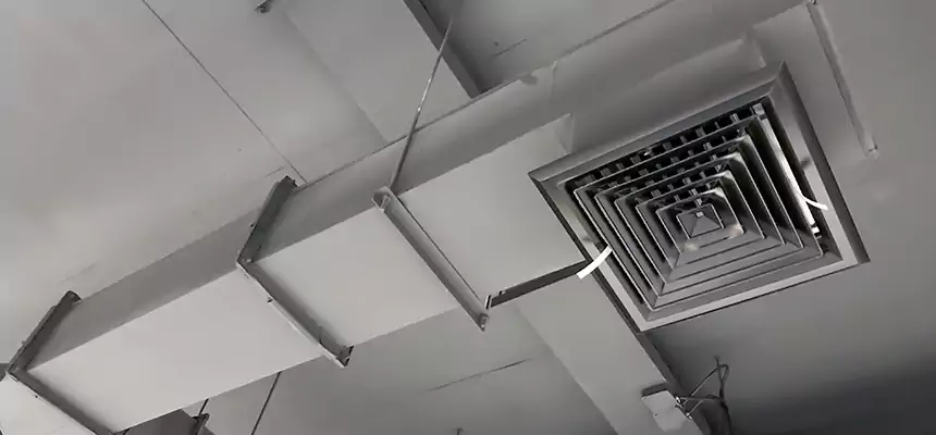 Our Rodent Droppings In Vents Services in Fort Lee, NJ