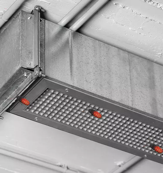 About Air Duct Cockroach Removal in Fort Lee, NJ