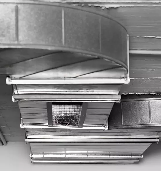 Professional Air Duct Pest Removal in Fort Lee, NJ