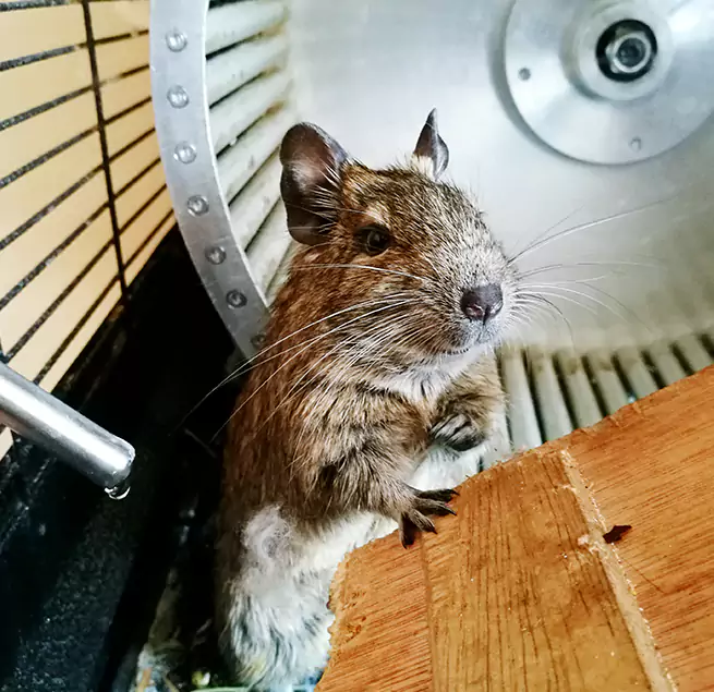 Why Homeowners & Businesses Trust Us Fort Lee, NJ?